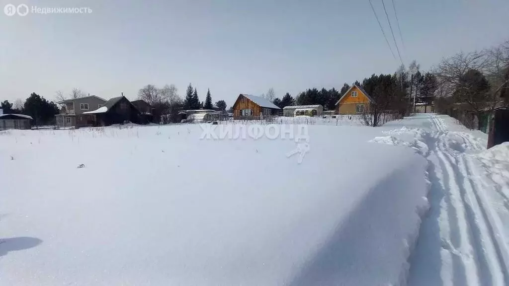 Участок в Новолуговской сельсовет, садовое товарищество Ромашка-Иня (6 ... - Фото 1