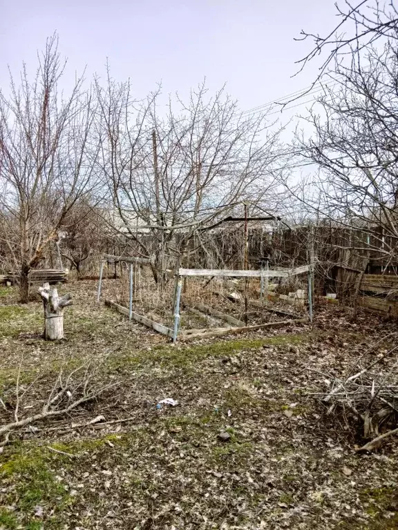 Дом в Волгоградская область, Волгоград ул. имени Менделеева, 181/498 ... - Фото 2
