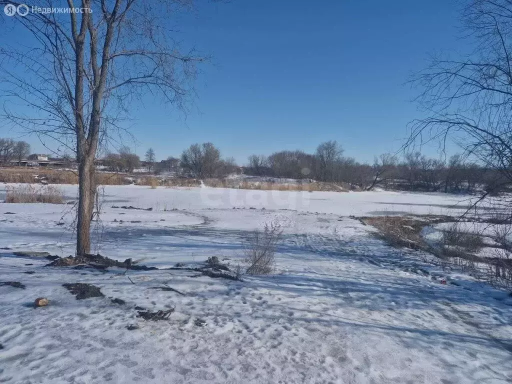 Участок в Алексеевка, улица Некрасова (8 м) - Фото 2