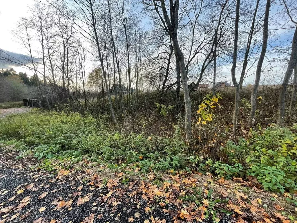 Участок в Московская область, Сергиево-Посадский городской округ, д. ... - Фото 2