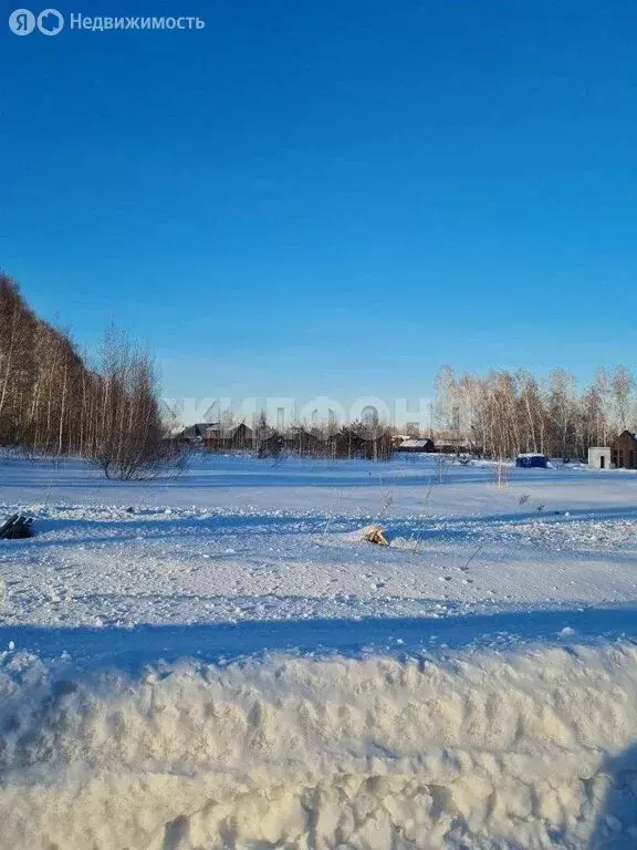 Участок в посёлок Октябрьский, улица Света (15.95 м) - Фото 2