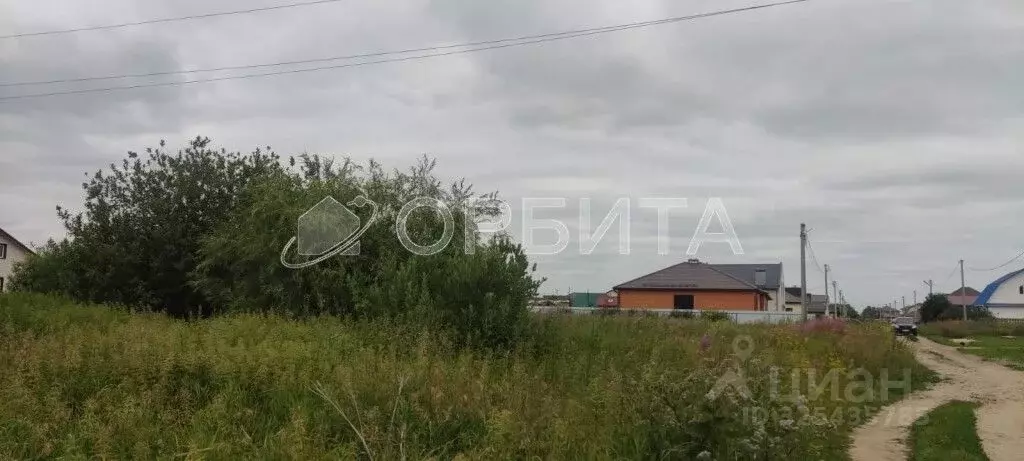 Участок в Тюменская область, Тюменский муниципальный округ, с. Ембаево ... - Фото 2