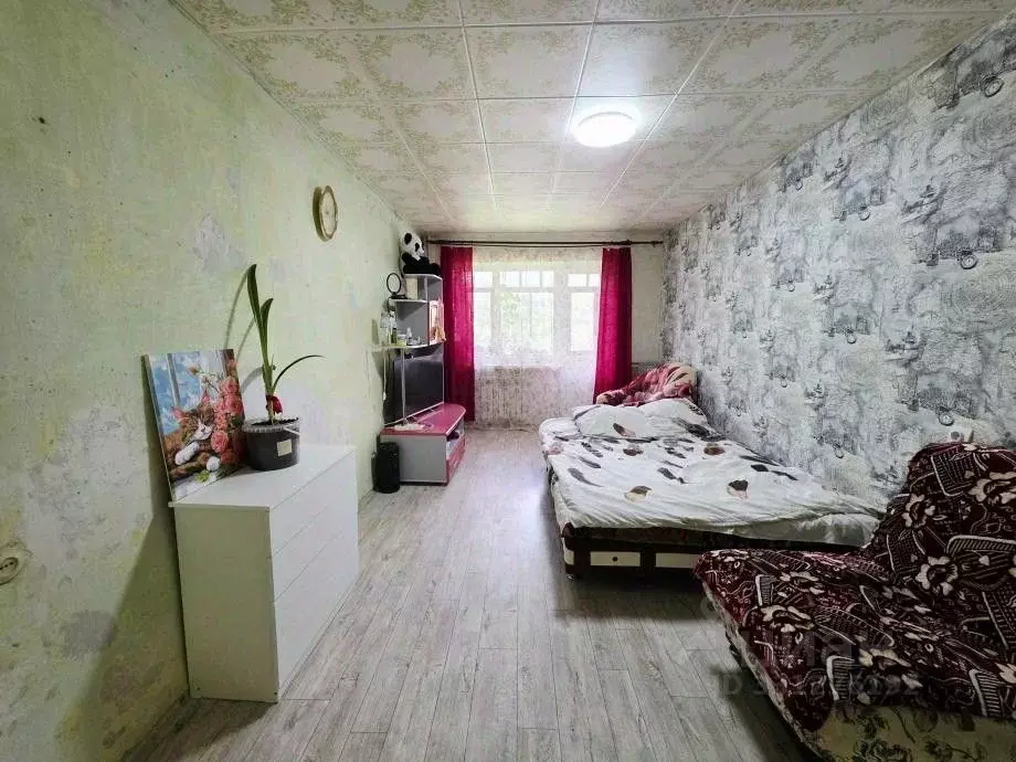 2-к кв. Пермский край, Александровск ул. Ленина, 38 (44.9 м) - Фото 1