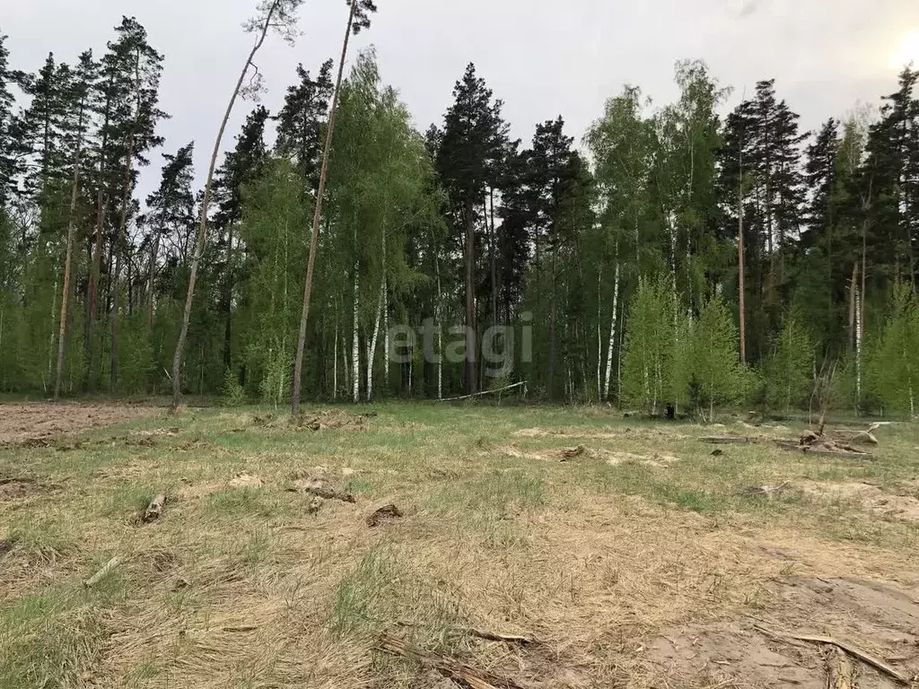 Участок в Воронежская область, Рамонский район, с. Ямное ул. Победы ... - Фото 0