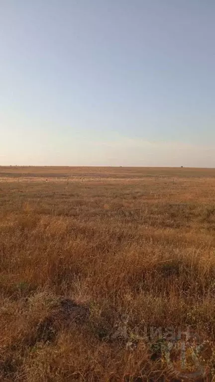 Участок в Крым, Сакский район, с. Уютное ул. Садовая (40.0 сот.) - Фото 2