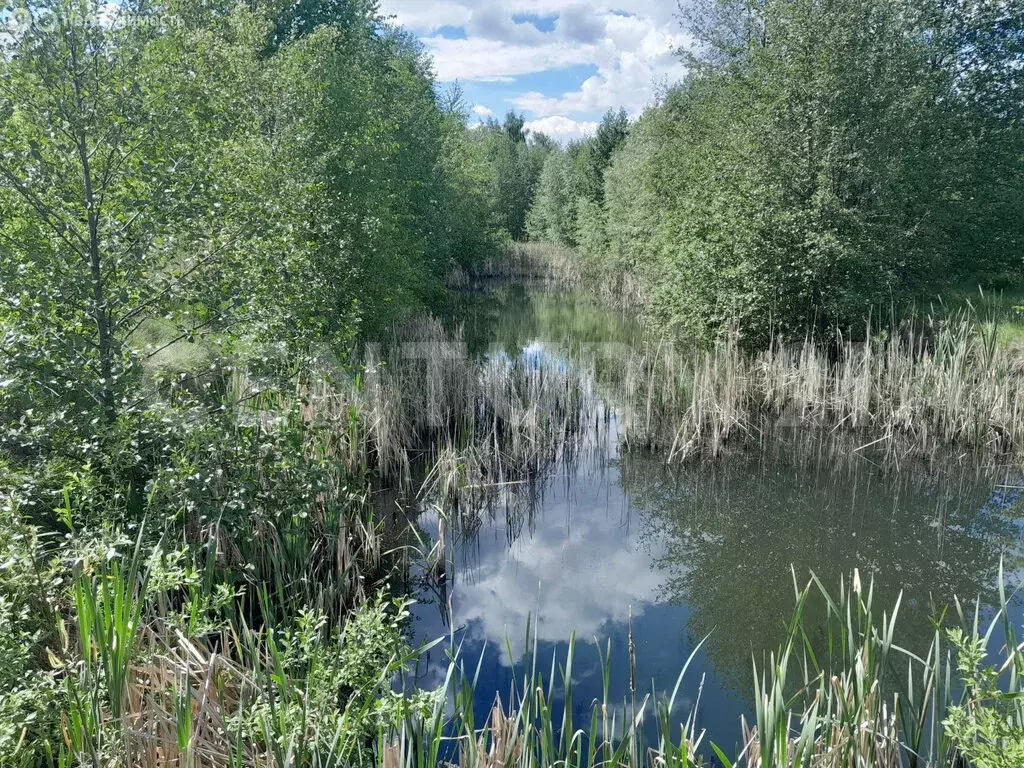 Участок в село Капитанщино, 4-я Заречная улица (12 м) - Фото 0