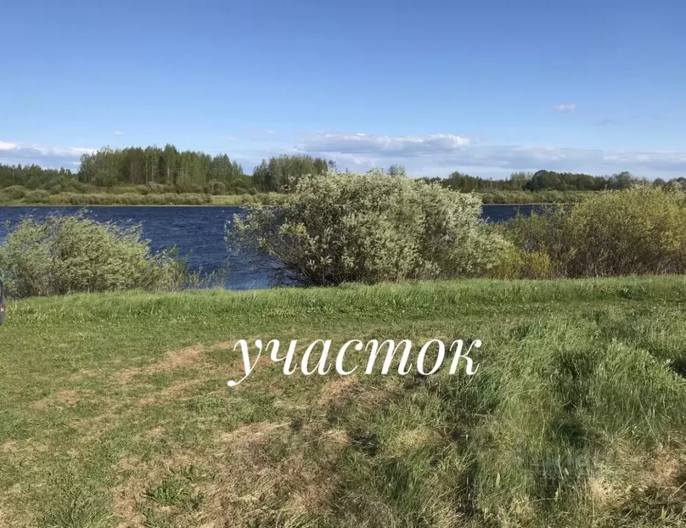 Участок в Псковская область, Палкинская волость, д. Мольгино  (77.4 ... - Фото 1