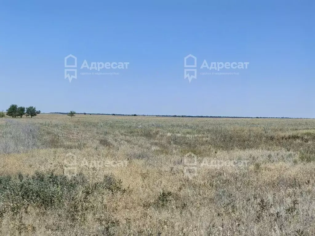 Участок в Волгоградская область, Волгоград ул. Венгерская (6.42 сот.) - Фото 0