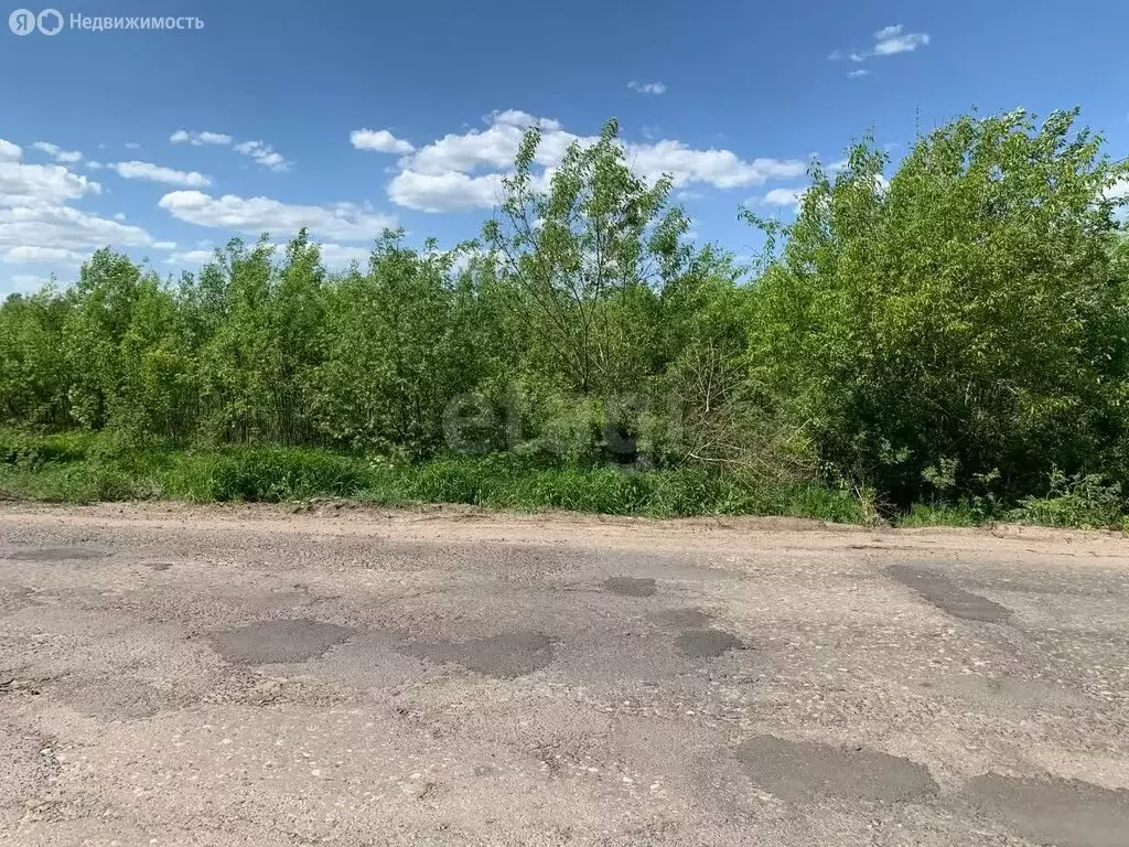 Участок в посёлок городского типа Ветлужский, Первомайская улица (13 ... - Фото 0