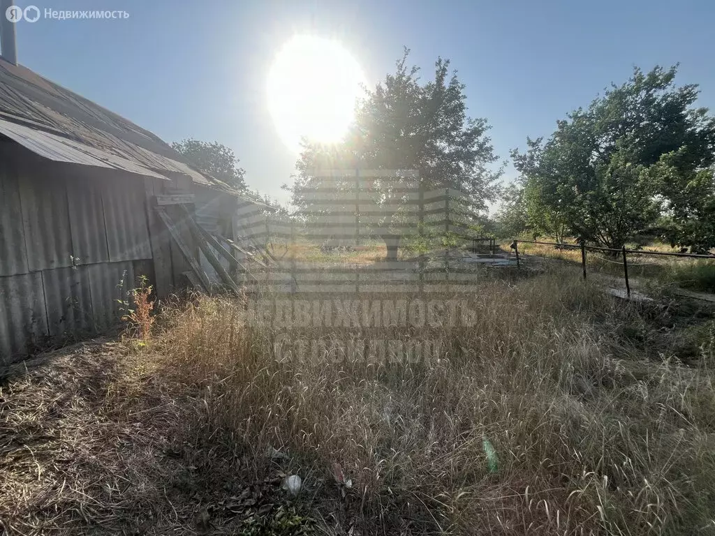 Участок в Неклиновский район, село Троицкое (27 м) - Фото 2