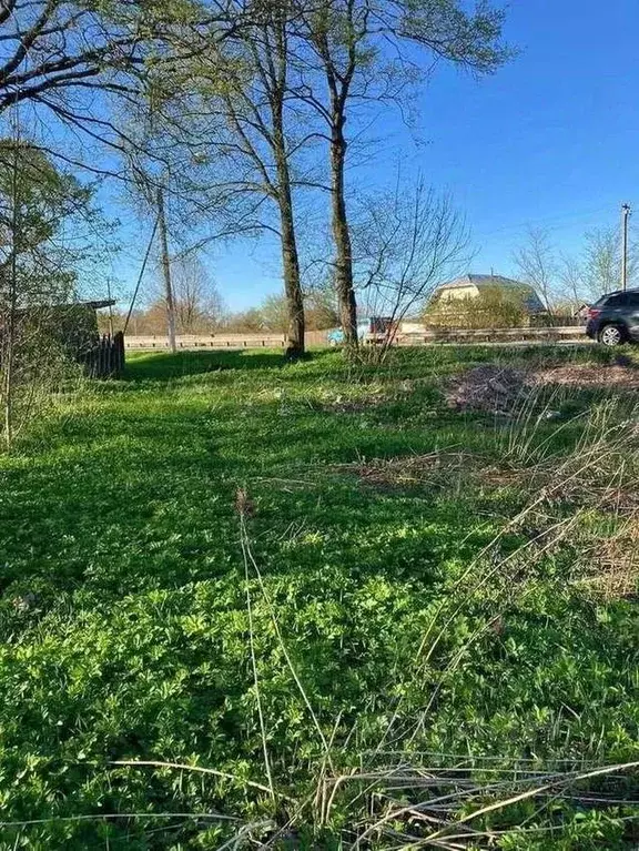 Участок в Новгородская область, Новгородский район, Бронницкое с/пос, ... - Фото 1