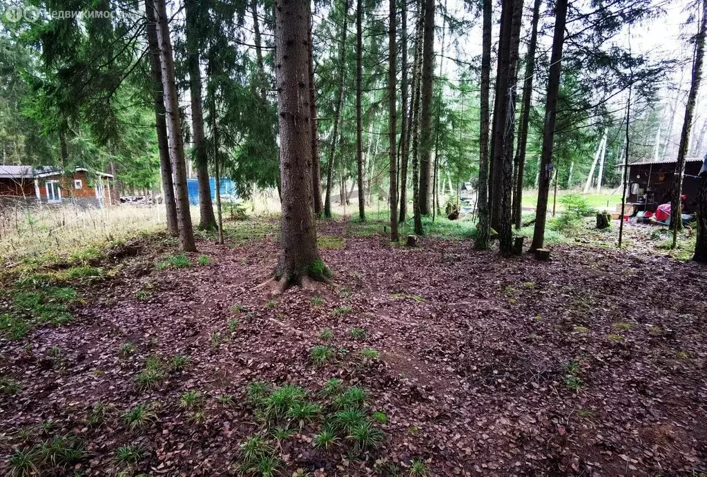 Участок в Калужская область, Боровский муниципальный округ, КП Лесные ... - Фото 2