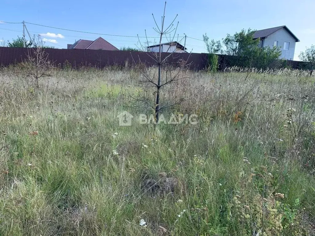 Участок в Белгородская область, Яковлевский муниципальный округ, с. ... - Фото 1