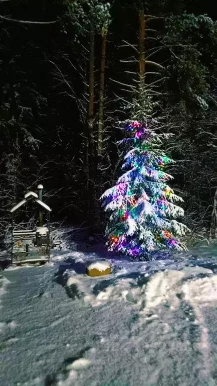 Дом в Карелия, Сортавальский муниципальный округ, пос. Рускеала ул. ... - Фото 1