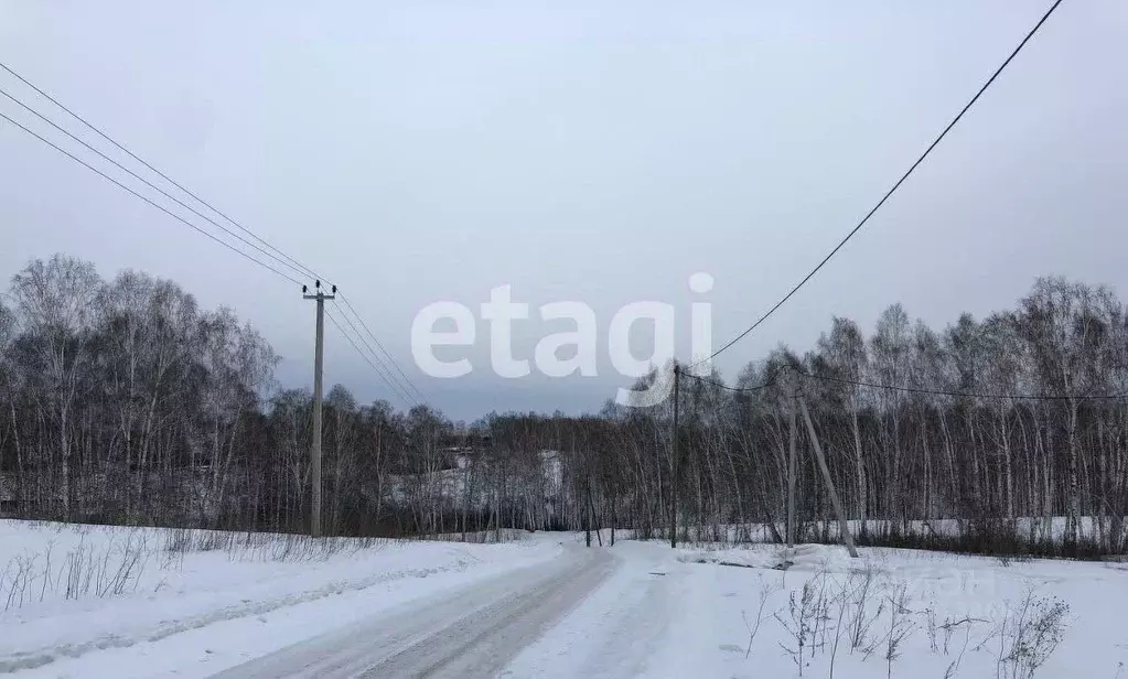 участок в красноярский край, емельяновский район, с. шуваево (20.0 . - Фото 0