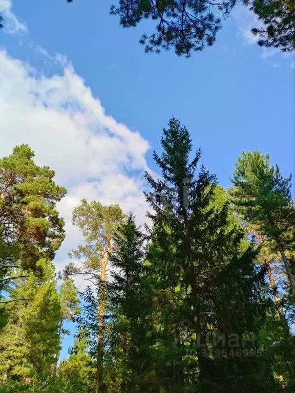Участок в Томская область, Томский район, д. Большое Протопопово ул. ... - Фото 1