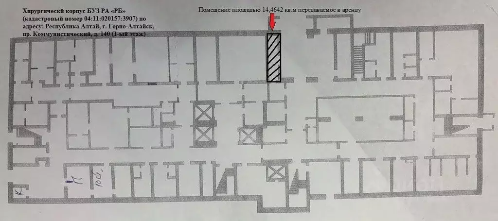 Помещение свободного назначения в Алтай, Горно-Алтайск ... - Фото 0