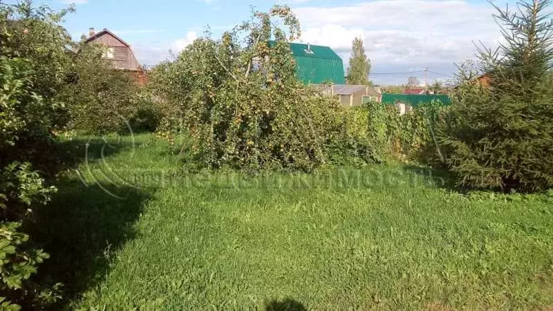 Купить Дачу В Тикопись Кингисеппский Район