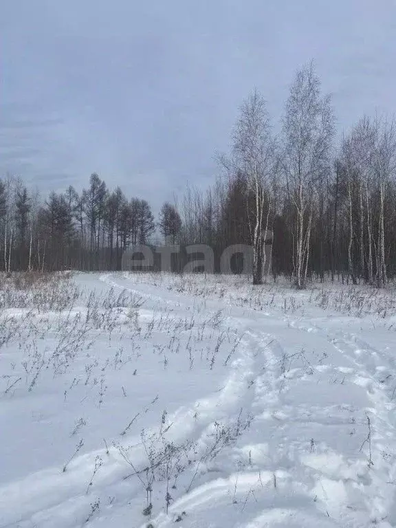 Участок в Забайкальский край, Улетовский муниципальный округ, с. Арей  ... - Фото 1