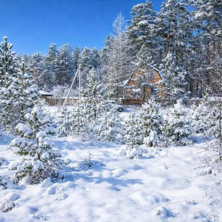 Участок в Рязанская область, Рязань Вольная ул. (10.3 сот.) - Фото 1