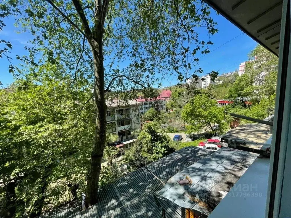 1-к кв. Краснодарский край, Сочи Донская мкр, ул. Чехова, 50 (20.0 м) - Фото 1