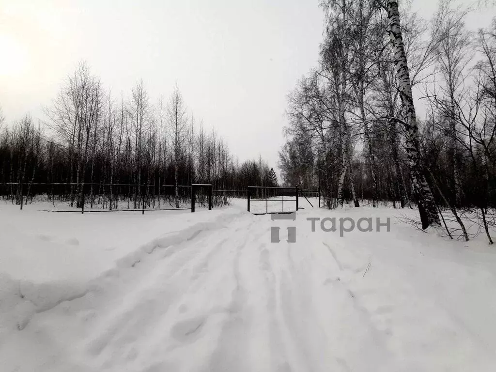 Участок в Челябинская область, Сосновский муниципальный округ, деревня ... - Фото 2