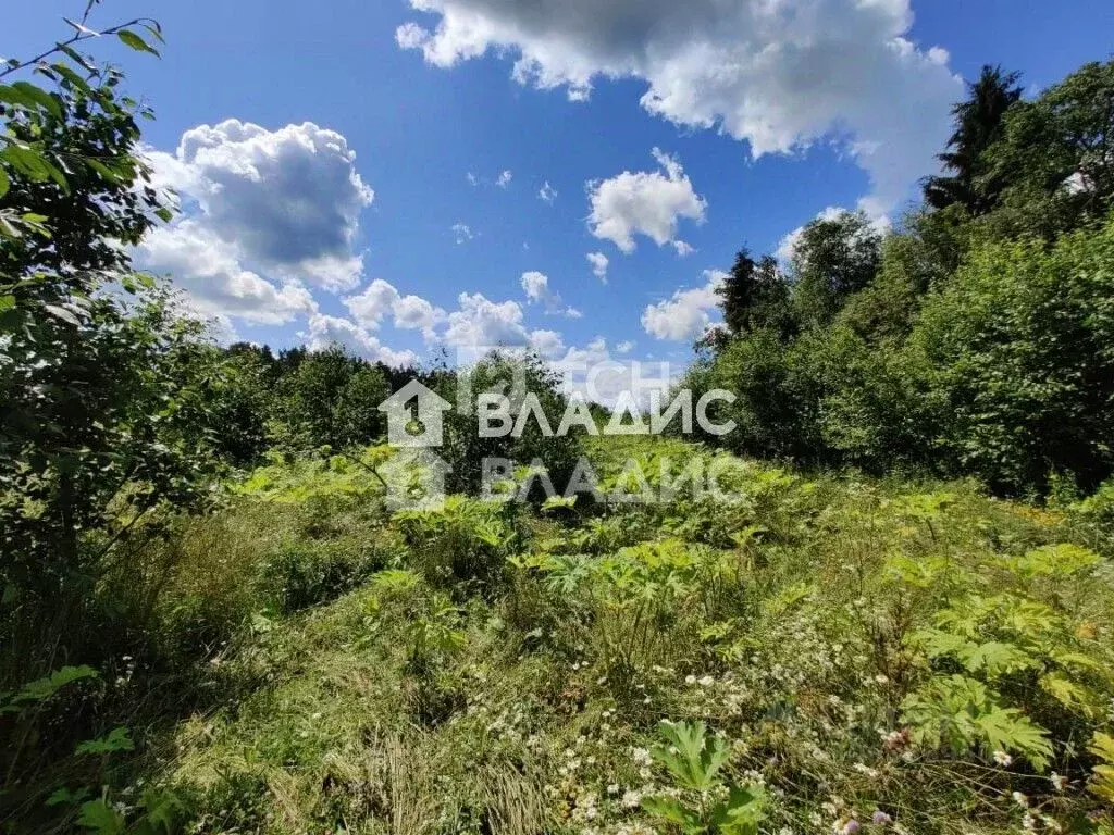 Участок в Московская область, Можайский городской округ, с. Борисово  ... - Фото 1