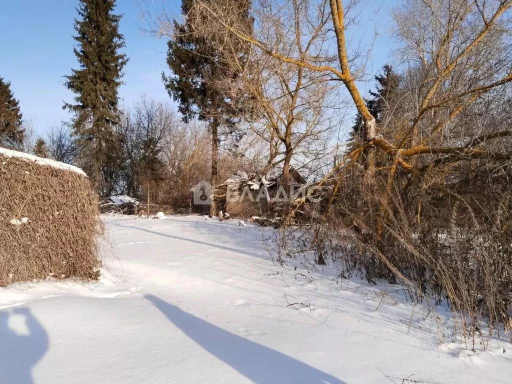 Участок в Московская область, Зарайск городской округ, д. Дятлово-3  ... - Фото 1