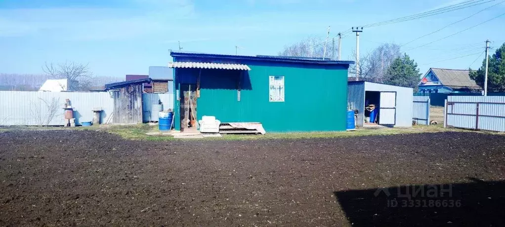 Дом в Татарстан, Зеленодольский район, Нижние Вязовые муниципальное ... - Фото 2