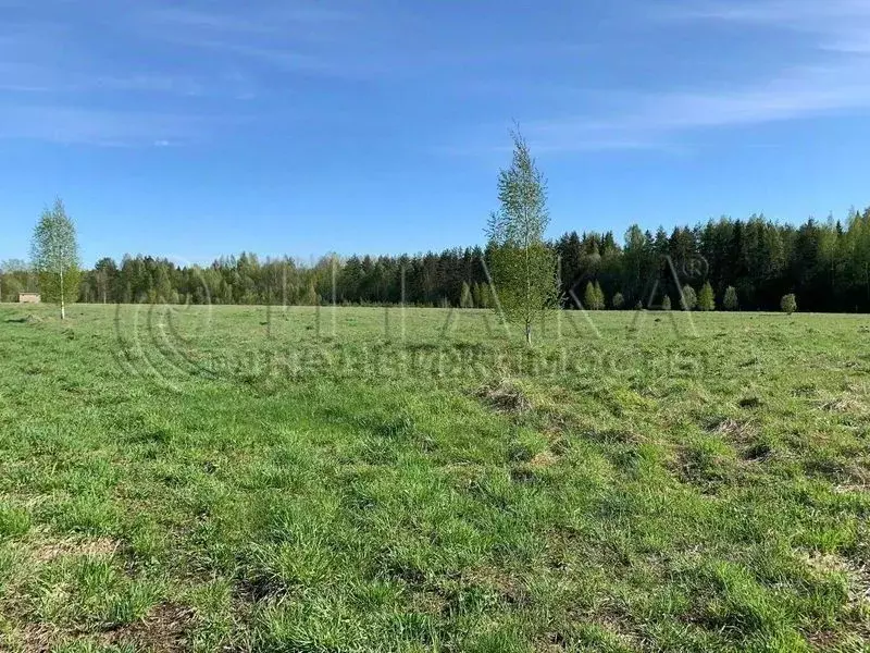 Участок в Ленинградская область, Лодейнопольский район, Янегское ... - Фото 0