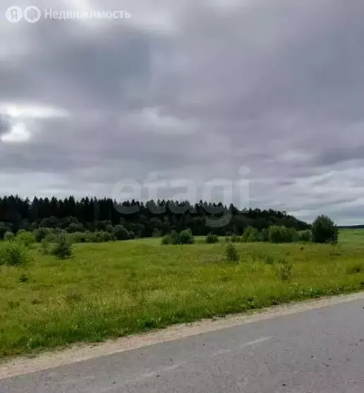 Участок в Ленинградская область, Волосово (773.96 м) - Фото 2