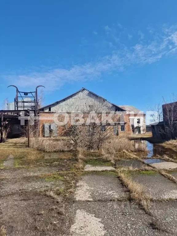 Производственное помещение в Новосибирская область, Каргат Советская ... - Фото 1