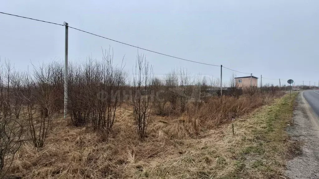 Участок в Калининградская область, Балтийский городской округ, пос. ... - Фото 2