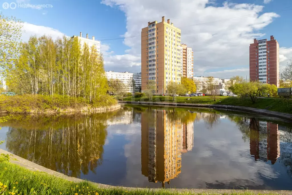 2-комнатная квартира: Санкт-Петербург, улица Пионерстроя, 19к2 (43.5 ... - Фото 2