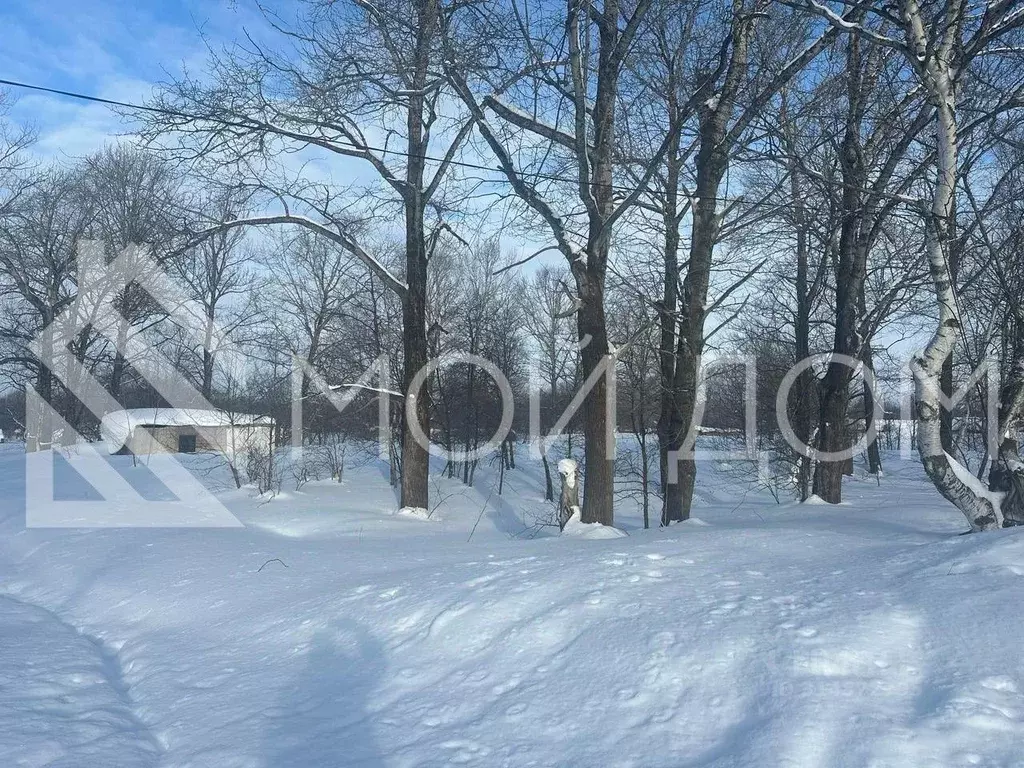 Участок в Сахалинская область, Корсаковский городской округ, с. Лесное ... - Фото 0
