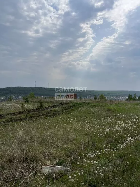 Участок в Свердловская область, Арти пгт ул. Ленина (14.23 сот.) - Фото 2