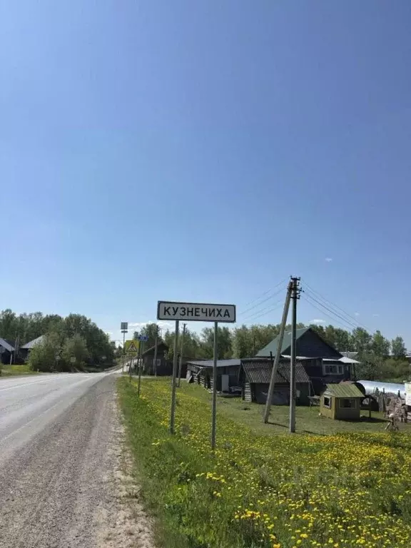 Участок в Пермский край, Осинский муниципальный округ, с. Кузнечиха ... - Фото 2