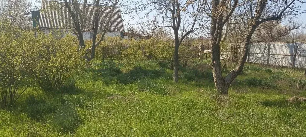Участок в Краснодарский край, Ейское городское поселение, пос. ... - Фото 1