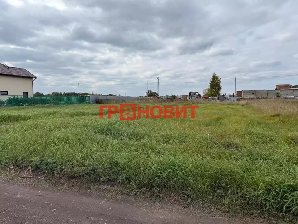 Участок в Новосибирская область, Новосибирский район, Верх-Тулинский ... - Фото 1