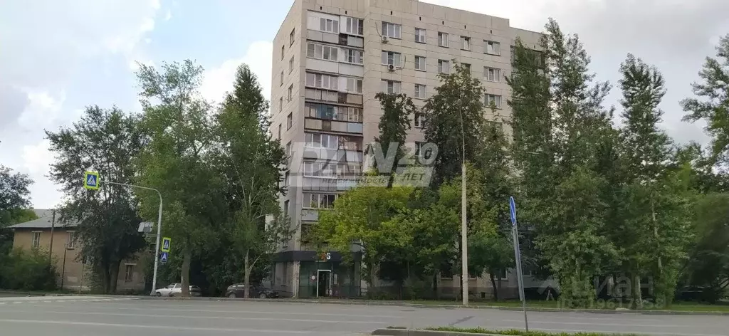 Торговая площадь в Челябинская область, Челябинск ул. Дарвина, 115 ... - Фото 0