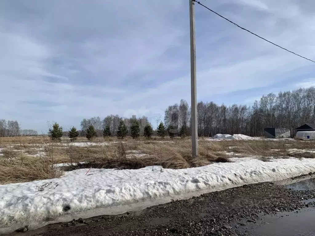 Участок в Новосибирская область, Новосибирский район, Морской ... - Фото 1