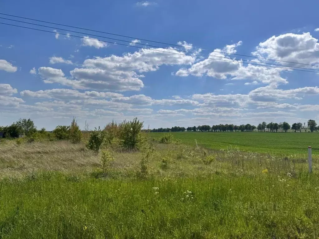 Участок в Калининградская область, Гурьевский муниципальный округ, ... - Фото 2