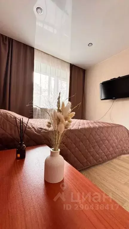 1-к кв. Красноярский край, Красноярск ул. Ленина, 43 (30.0 м) - Фото 0
