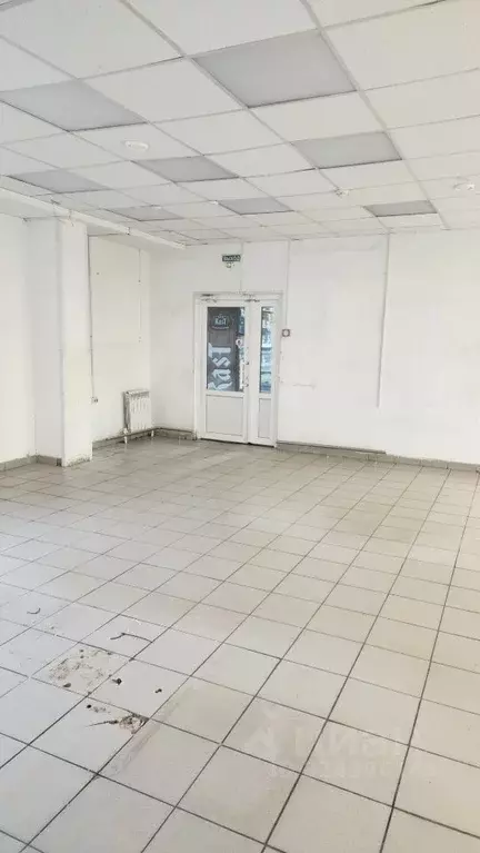 Торговая площадь в Оренбургская область, Оренбург Форштадт мкр, ул. ... - Фото 1