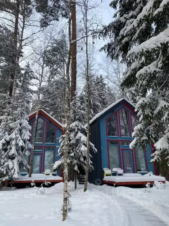 Дом в Московская область, Пушкино Заветы Ильича мкр, ул. Осипенко, 30 ... - Фото 1