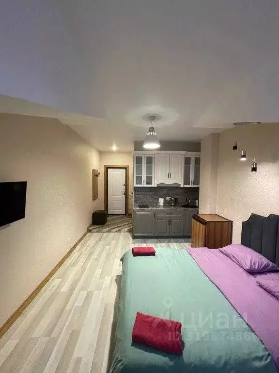 1-к кв. Дагестан, Махачкала ул. Времена Года, 15 (25.0 м) - Фото 1