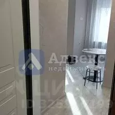 Студия Тюменская область, Тюменский муниципальный округ, д. Патрушева ... - Фото 1