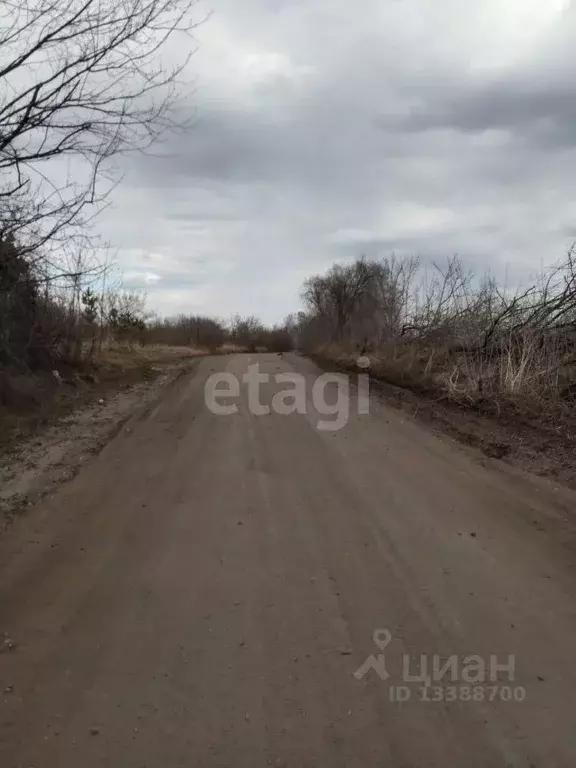 Участок в Курганская область, Далматово Восточная ул. (15.0 сот.) - Фото 1