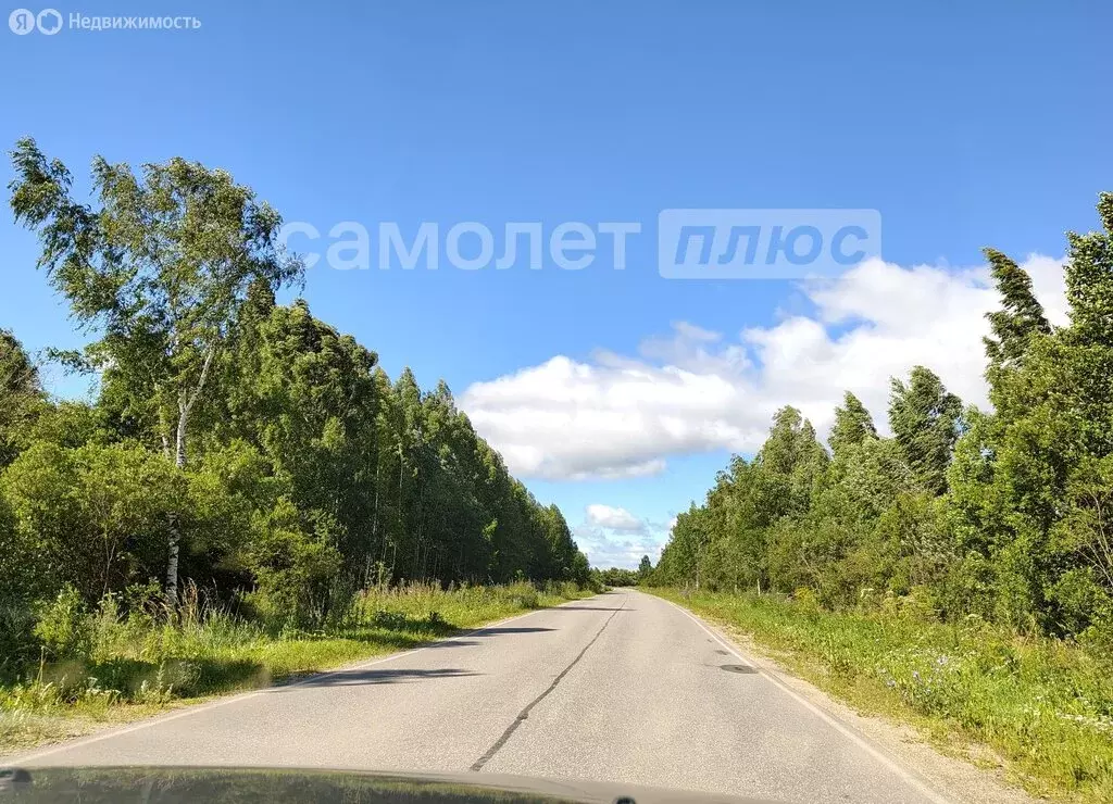 Дом в Вологодская область, Шекснинский муниципальный округ, село ... - Фото 1
