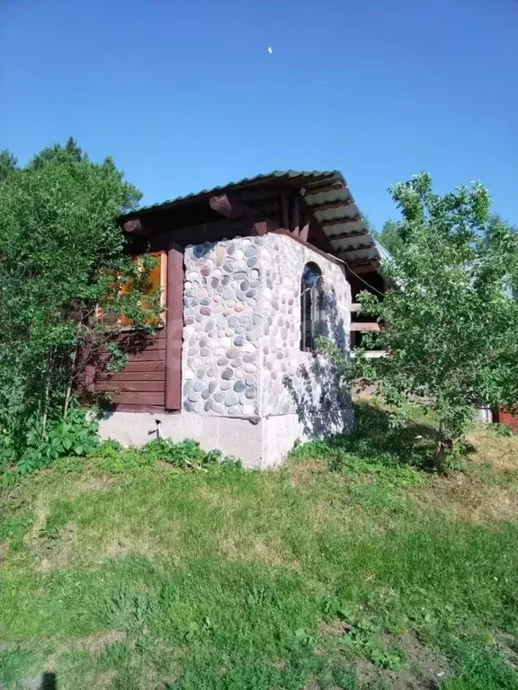 Дом в Алтай, Майминский район, с. Соузга Трактовая ул., 26Б (53 м) - Фото 1